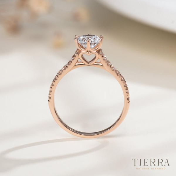 Ổ nhẫn nữ kim cương đẹp kiểu Cathedral